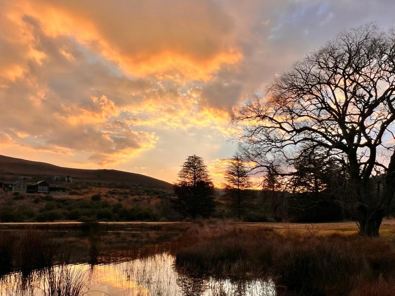 Stone Creek Mountain Lodge Dullstroom Dış mekan fotoğraf