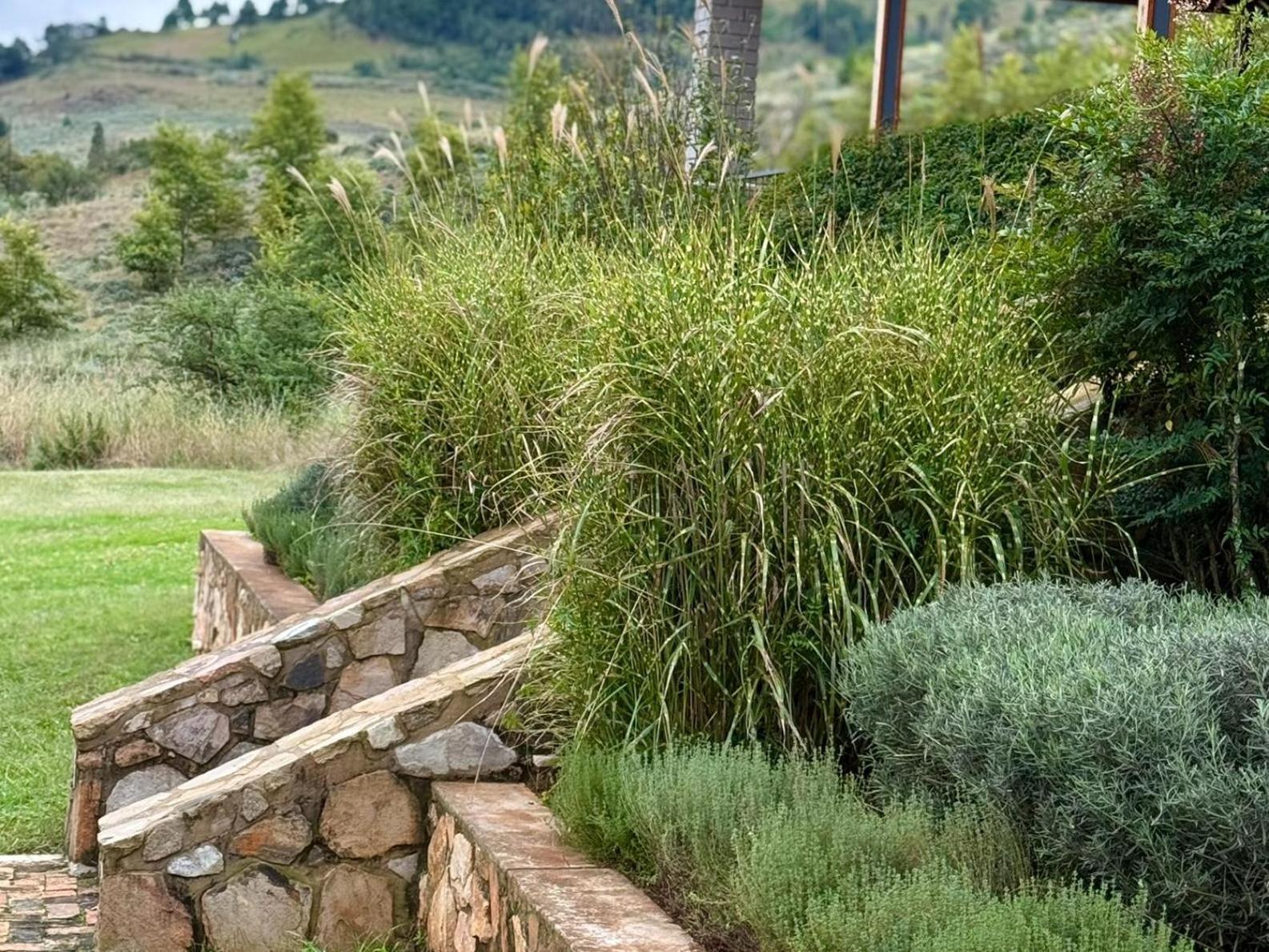 Stone Creek Mountain Lodge Dullstroom Dış mekan fotoğraf
