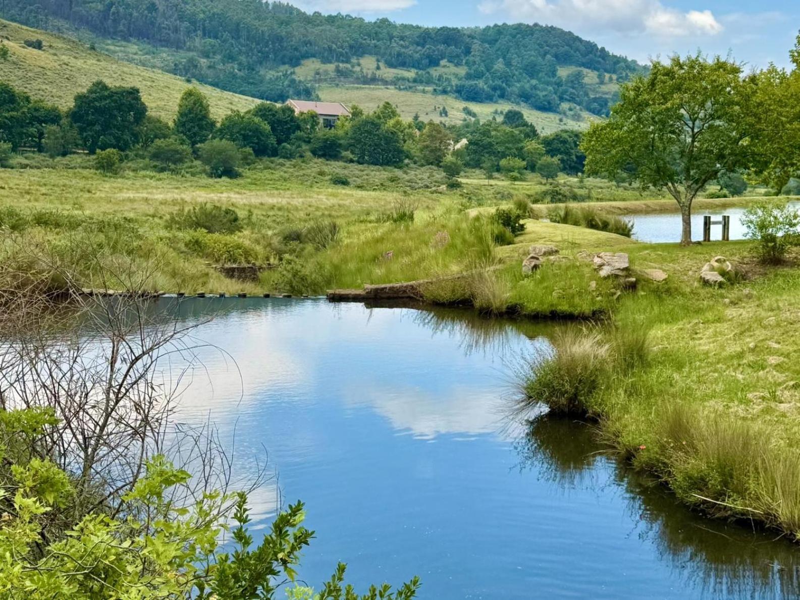 Stone Creek Mountain Lodge Dullstroom Dış mekan fotoğraf