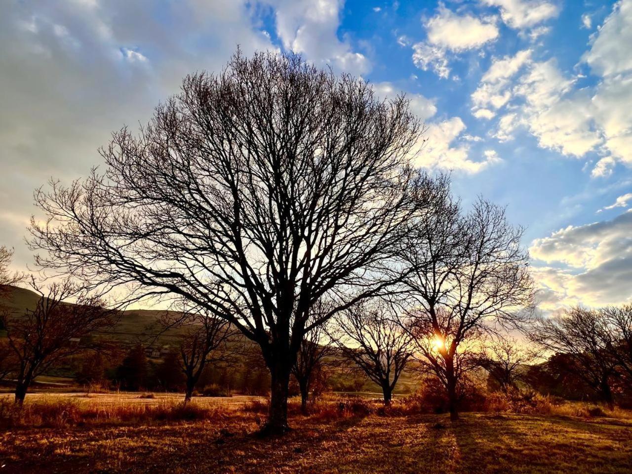 Stone Creek Mountain Lodge Dullstroom Dış mekan fotoğraf