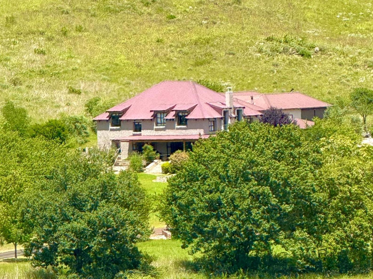 Stone Creek Mountain Lodge Dullstroom Dış mekan fotoğraf
